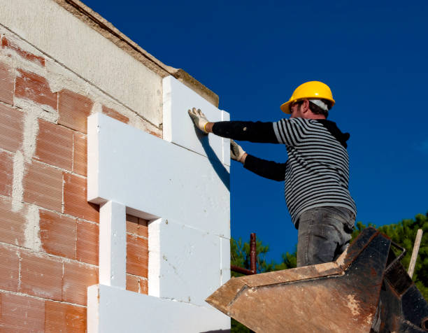 Best Residential Insulation in Hargill, TX