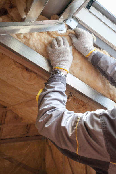 Types of Insulation We Offer in Hargill, TX