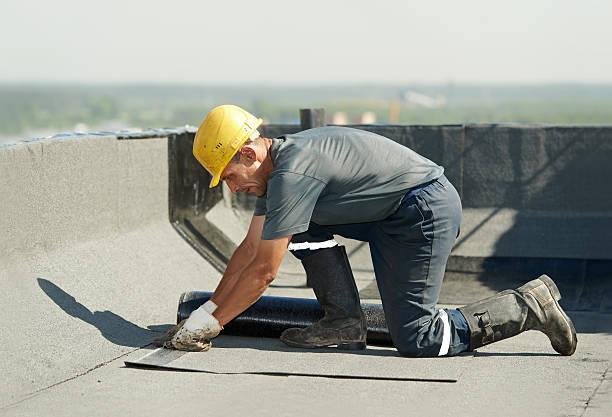 Best Spray Foam Insulation in Hargill, TX
