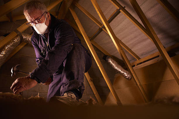 Best Geographic-Specific Insulation Services in Hargill, TX